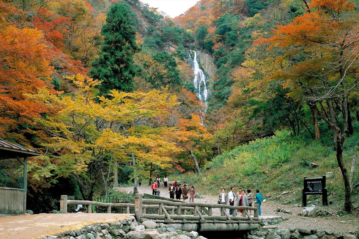 紅葉