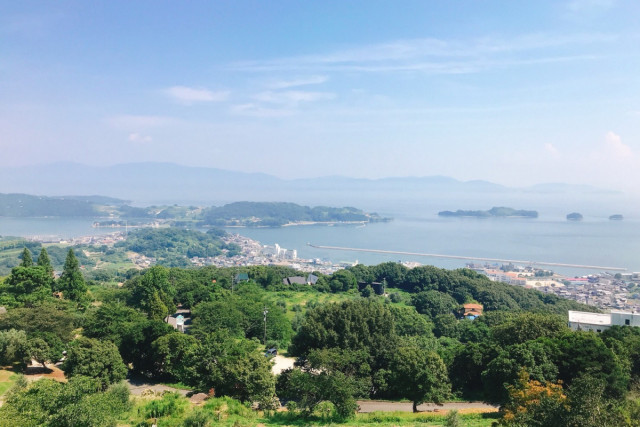牛窓オリーブ園　オリーブの花散歩ポイントラリー