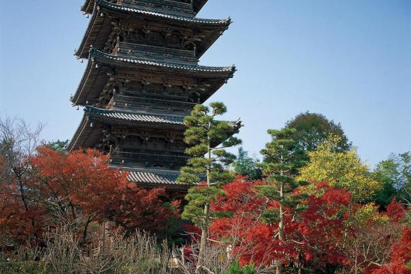 五重塔と紅葉