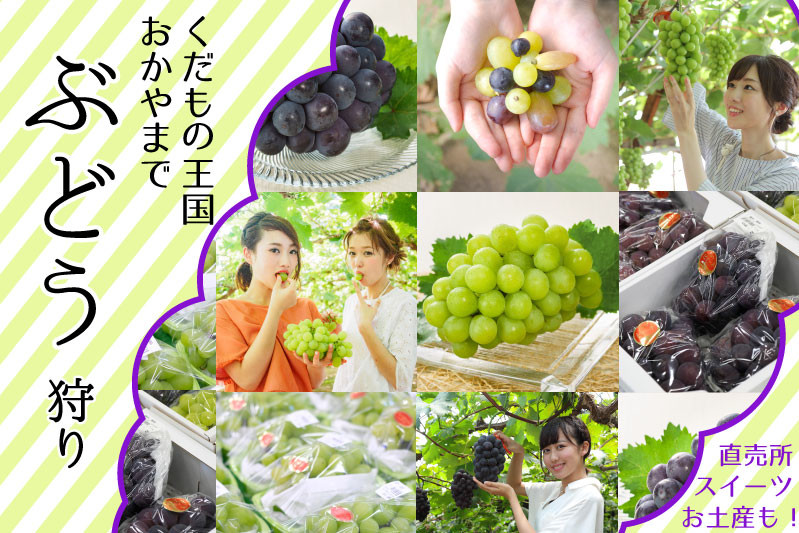 くだもの王国・岡山でぶどう狩り体験
